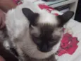 Melannie