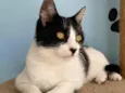 Maggie