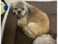 Lucky