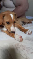 Seco
