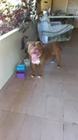Thanos ou Zeus