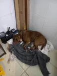 Thanos ou Zeus