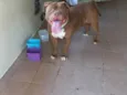 Thanos ou Zeus
