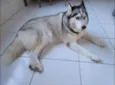 Coca