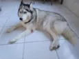 Coca