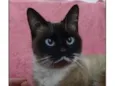 Milka