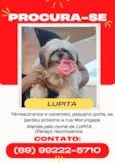Lupita