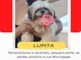 Lupita