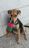 Lua
