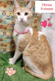 Princesa