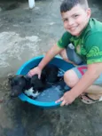 Toby
