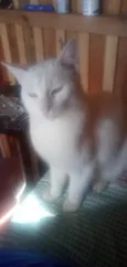 Filha
