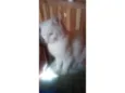 Filha