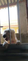 Moly
