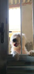 Moly