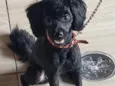 Nina