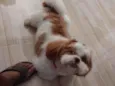 Billy 