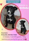 Belinha