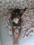 Paçoca