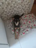 Paçoca