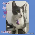 Jack