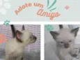 Não tem nome
