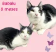 Babalu