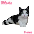 Vitória