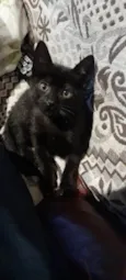 SALEM