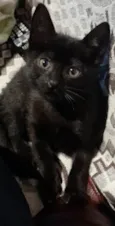 SALEM