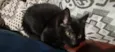 SALEM