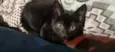 SALEM