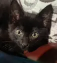 SALEM