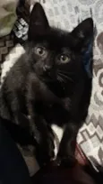 SALEM
