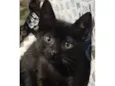 SALEM