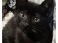 SALEM