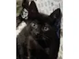 SALEM