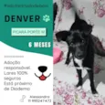 Denver