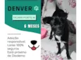 Denver