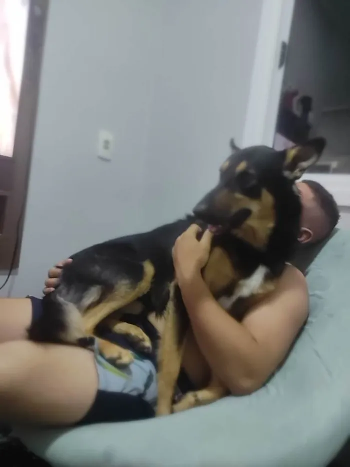 Cachorro ra a Indeterminado  idade 3 anos nome Diego