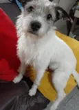 Filo