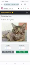 JULLY