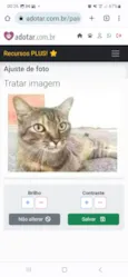 JULLY