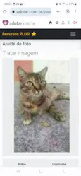 JULLY