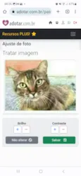 JULLY