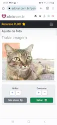 JULLY