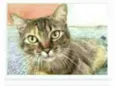 JULLY