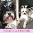 Pandora e Charlotte 