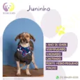 Juninho