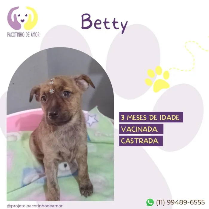 Cachorro ra a SRD-ViraLata idade 2 a 6 meses nome Betty